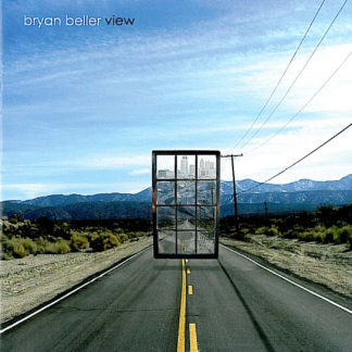Bryan Beller - View