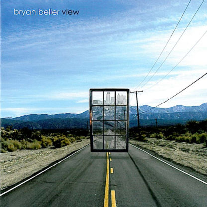 Bryan Beller - View