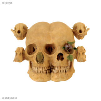 Kohoutek  | Lossless Loss | LP
