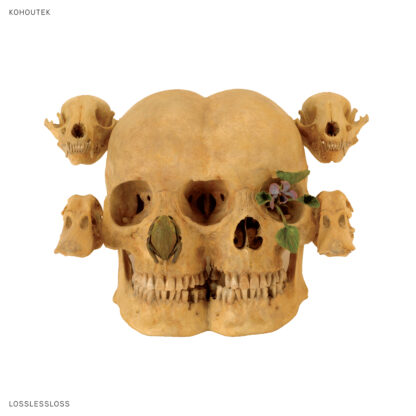 Kohoutek  | Lossless Loss | LP