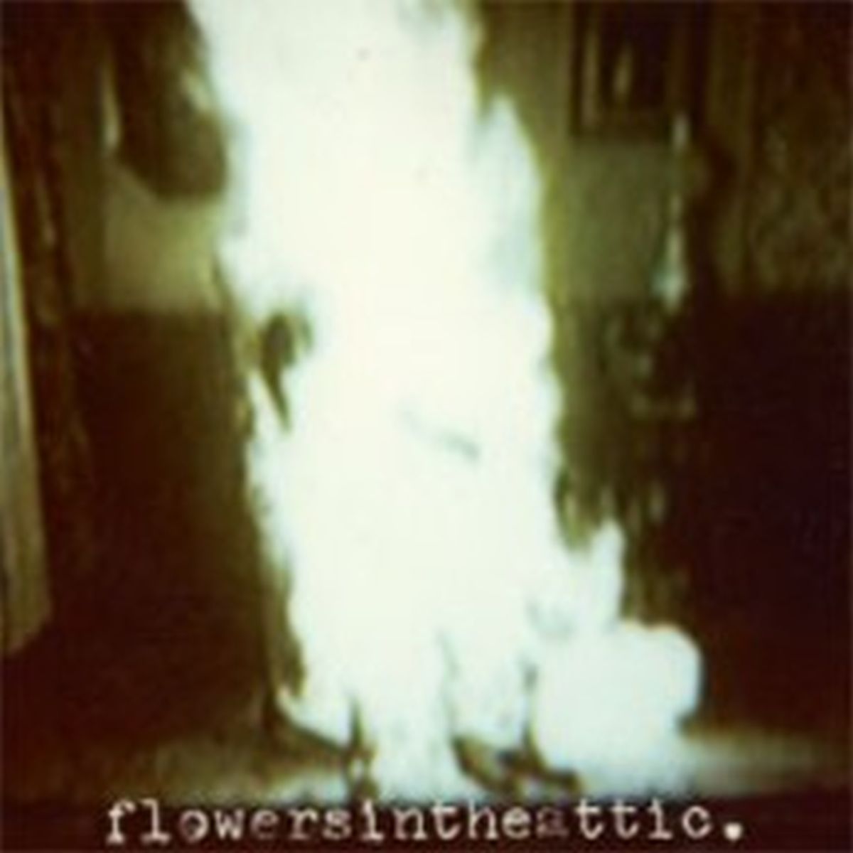 Flowers In The Attic | Human | 10