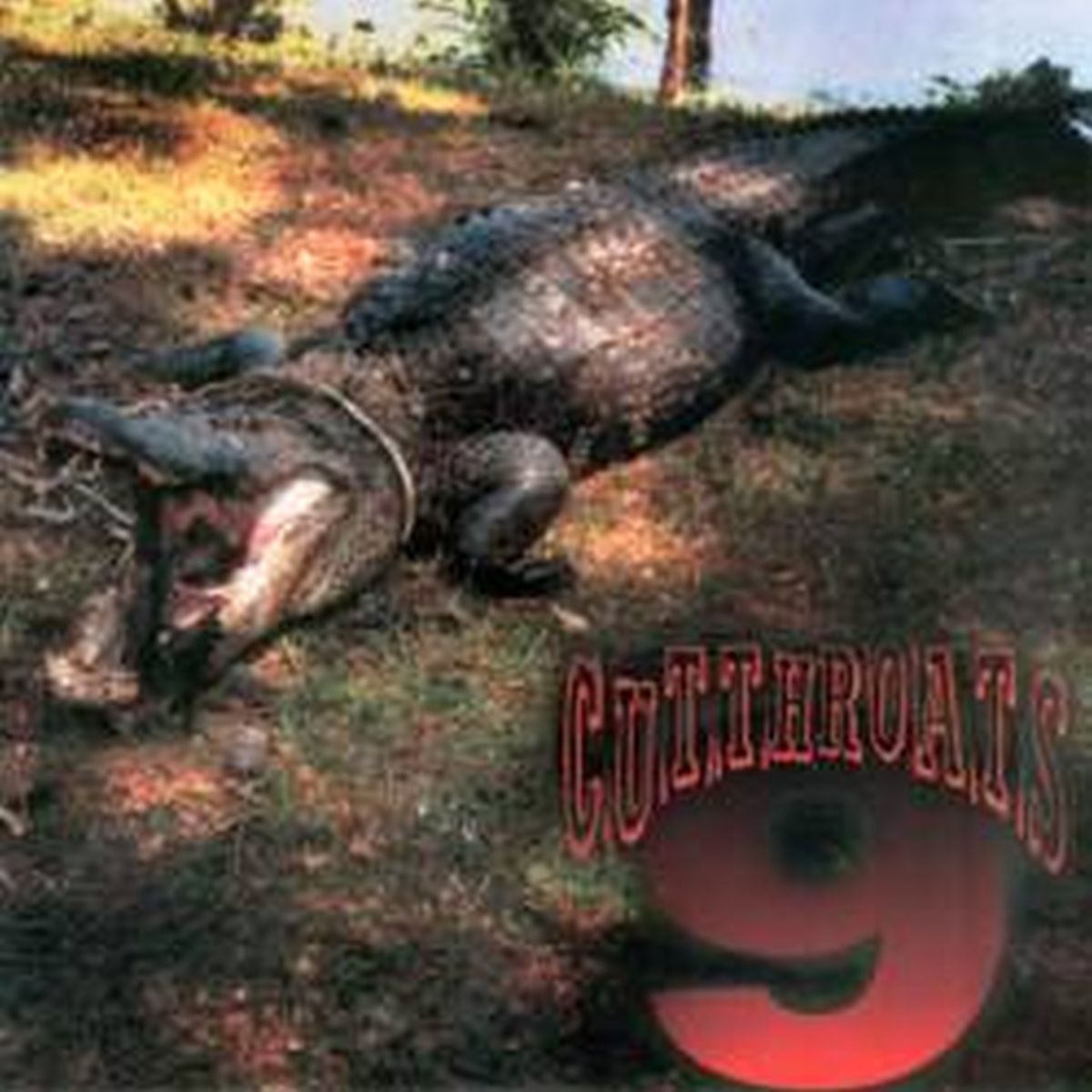 Cutthroats 9 | You Should Be Dead/Can't Do A Thing | 7