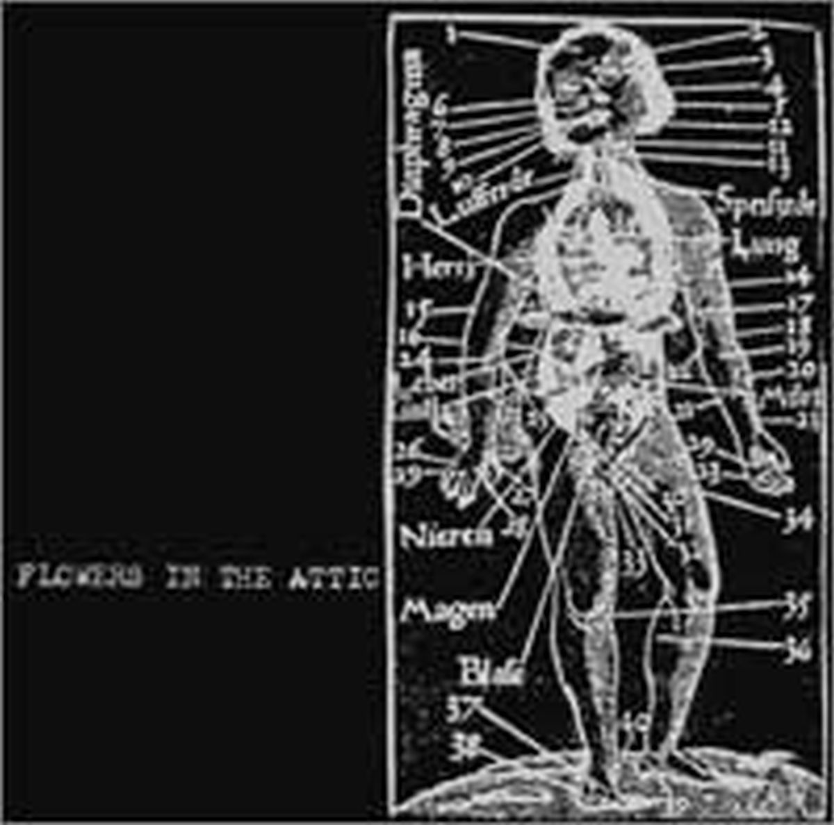 Flowers In The Attic | S/T | CD