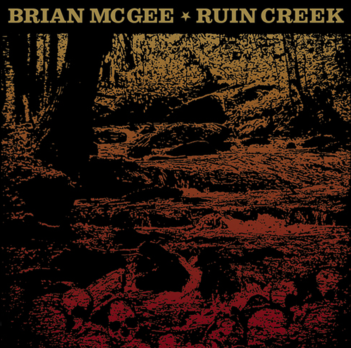 Brian McGee | Ruin Creek | CD