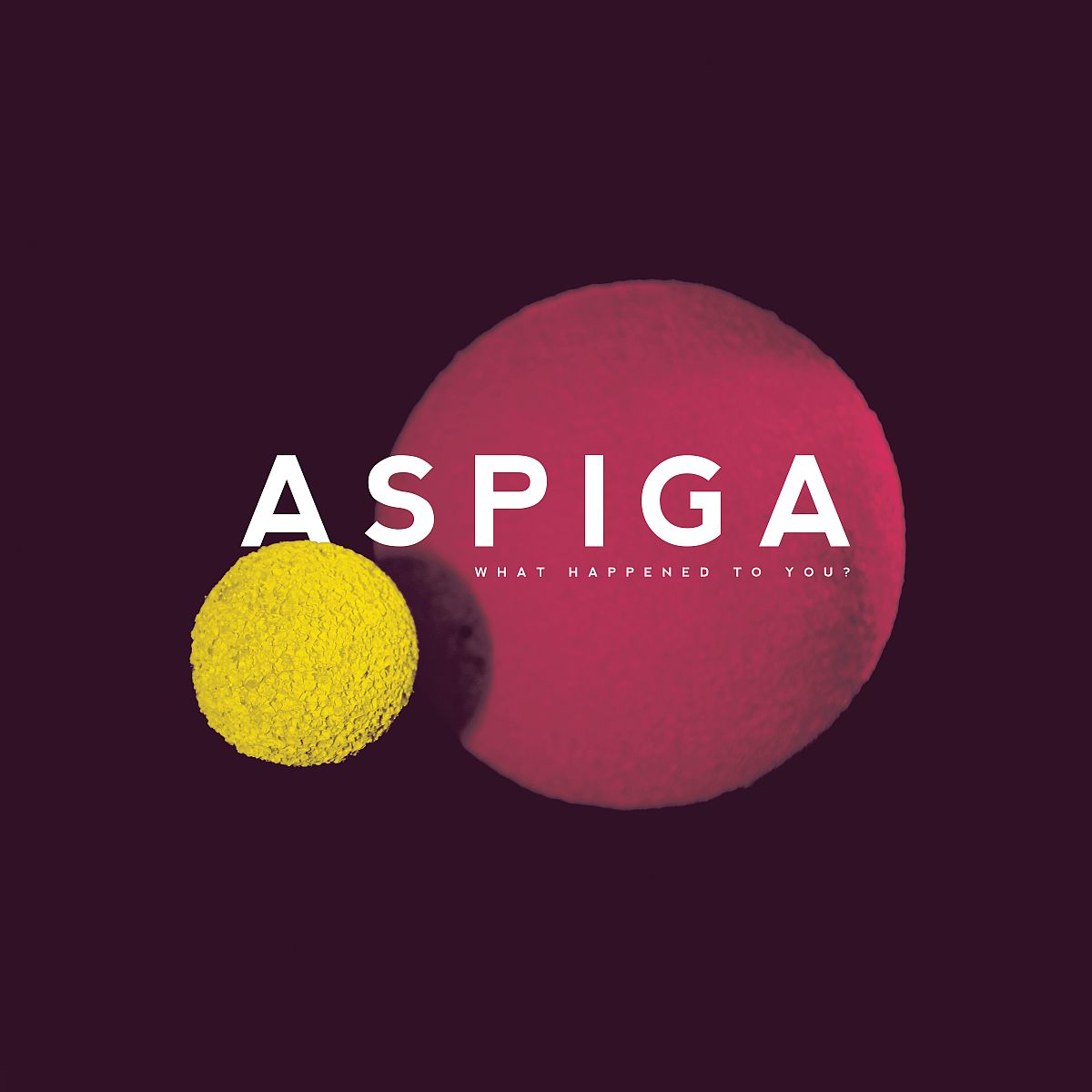 Aspiga | What Happened To You | CD