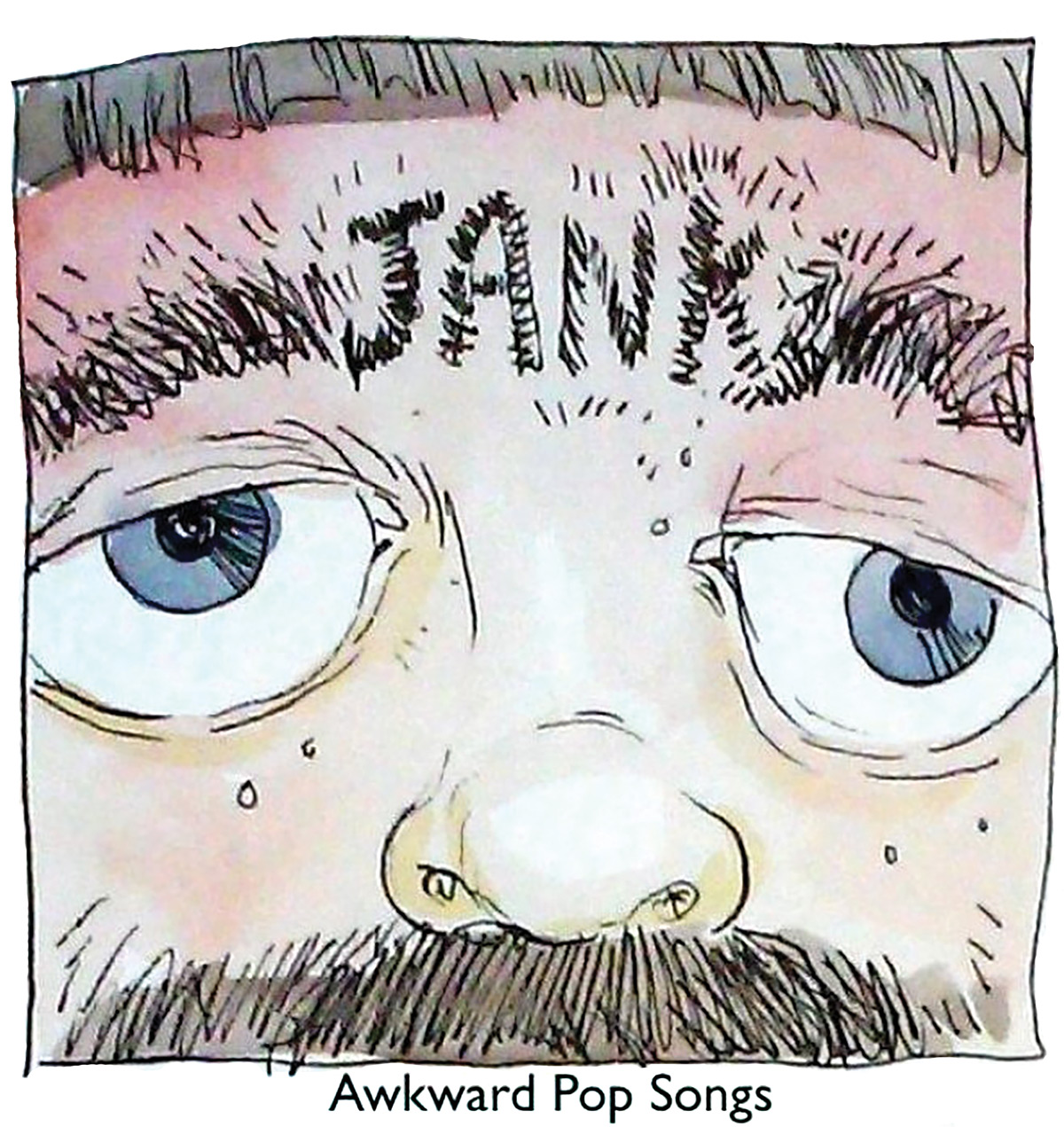 Jank | Awkward Pop Songs | LP **OUT OF PRINT**