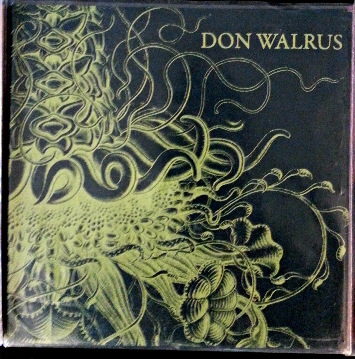 Don Walrus