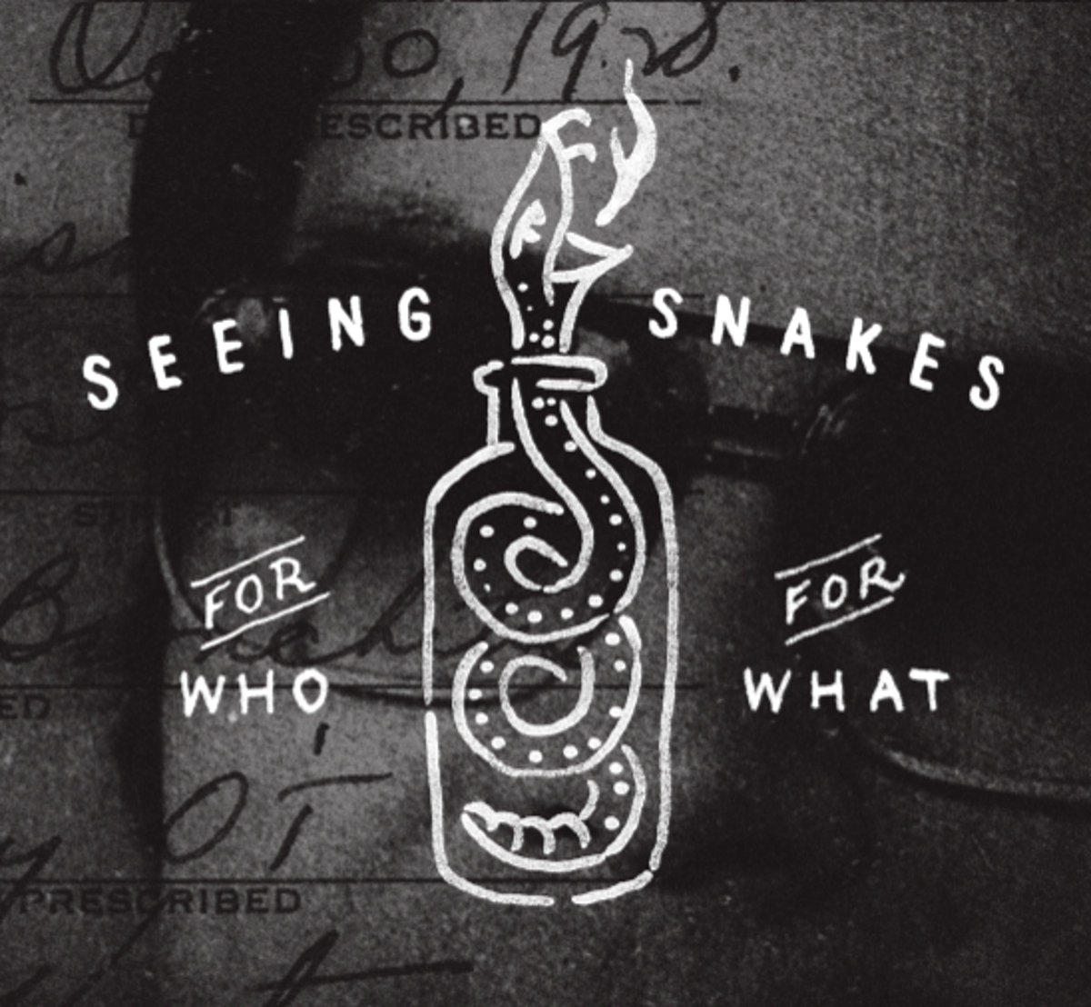 Seeing Snakes | For Who For What | CD