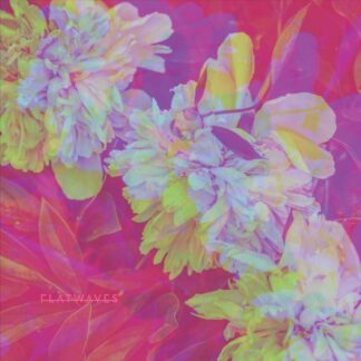 Flatwaves | Numbra | LP
