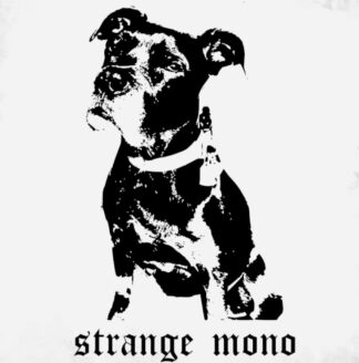 _Strange Mono