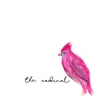 Wesley Joe | The Cardinal | CD