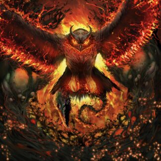 Rad Owl | Rage Gracefully | LP