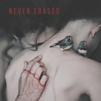 V/A | Never Erased | LP
