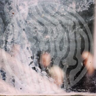 Creepoid | Cemetery Highrise Slum (reissue) | LP
