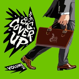 Various Artists | The Big Cover-Up, Vol. 2