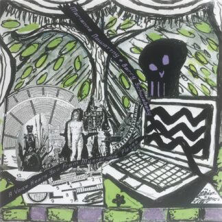 Barry Schwabsky & Marianne Nowottny | A Voice Hears You From Mysterious Places